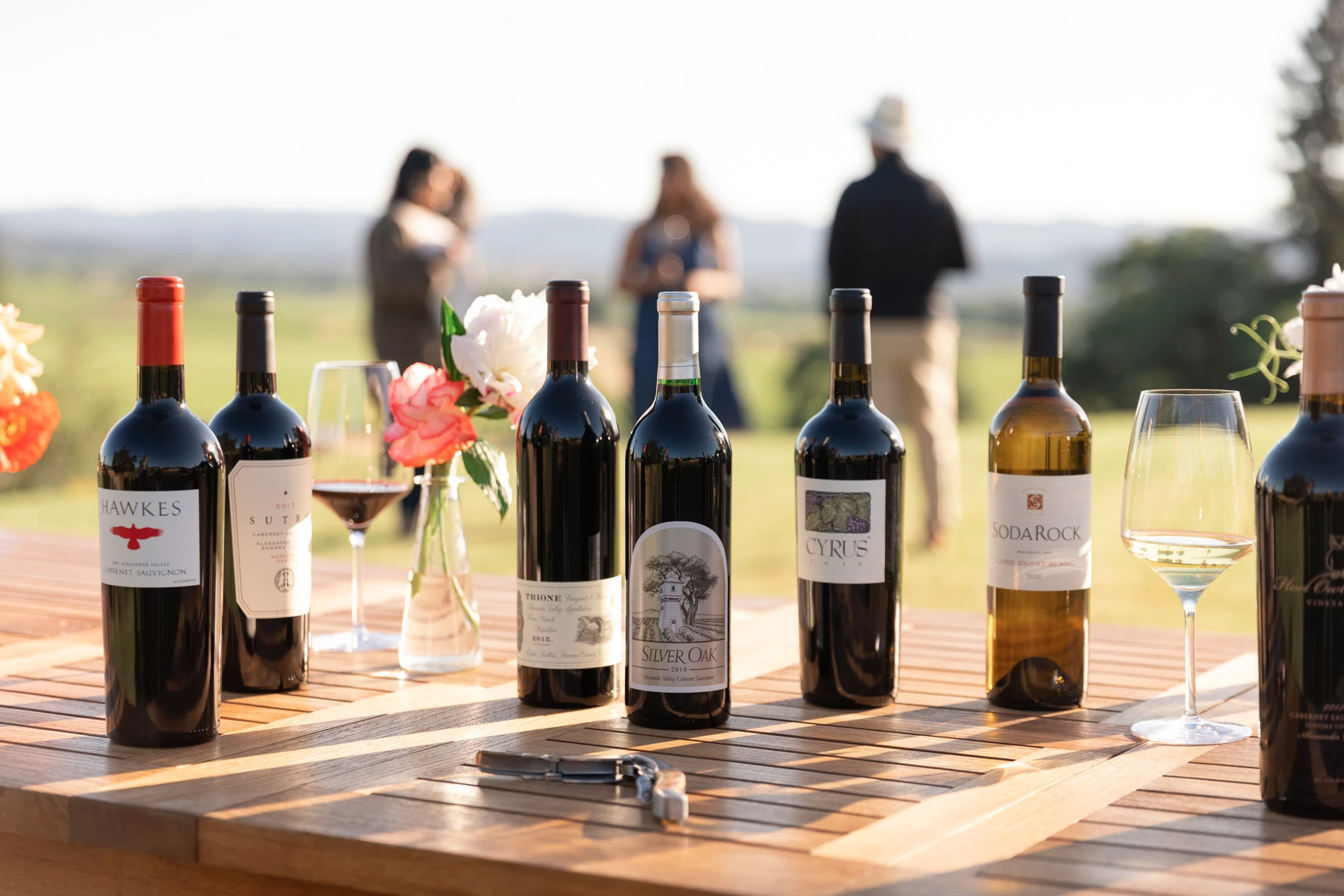 Wine Tasting Along Alexander Valley
