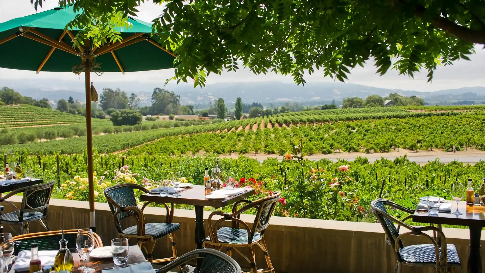 Rustic at Francis Ford Coppola Winery