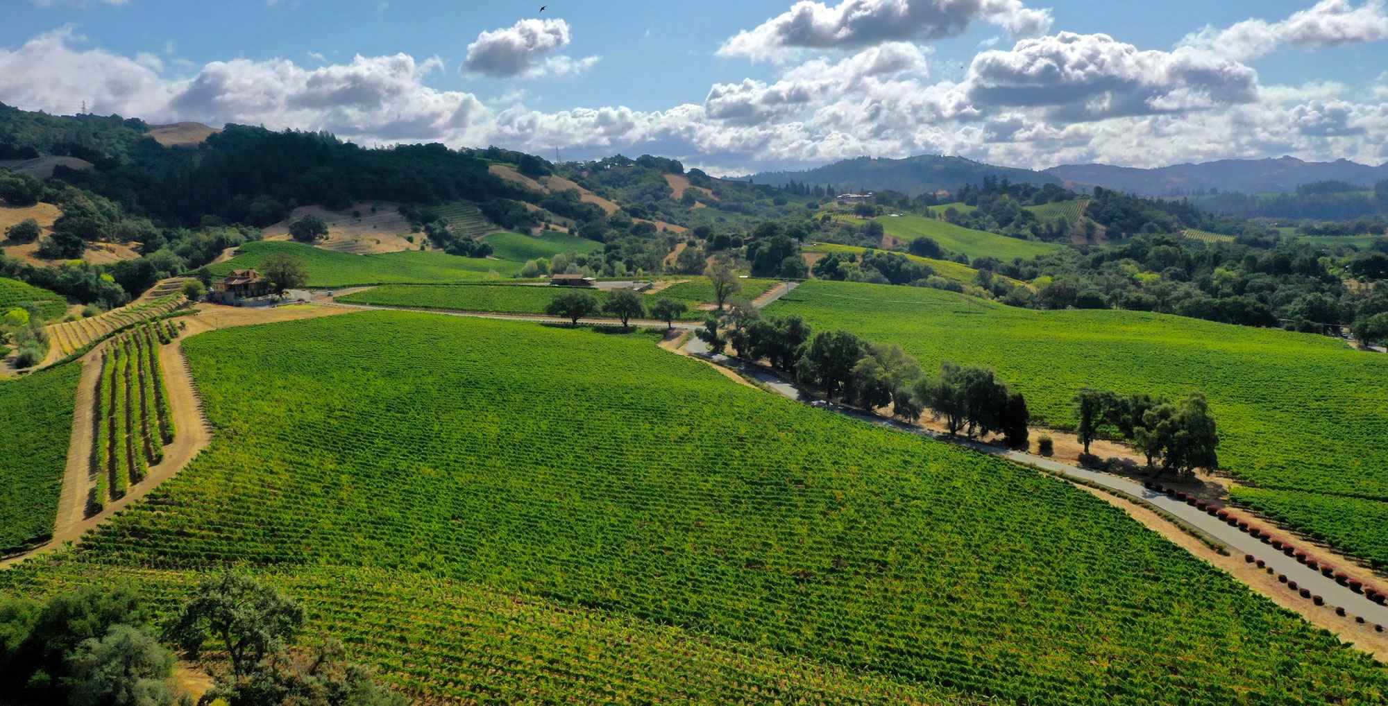 Alexander Valley Scenic Corridor