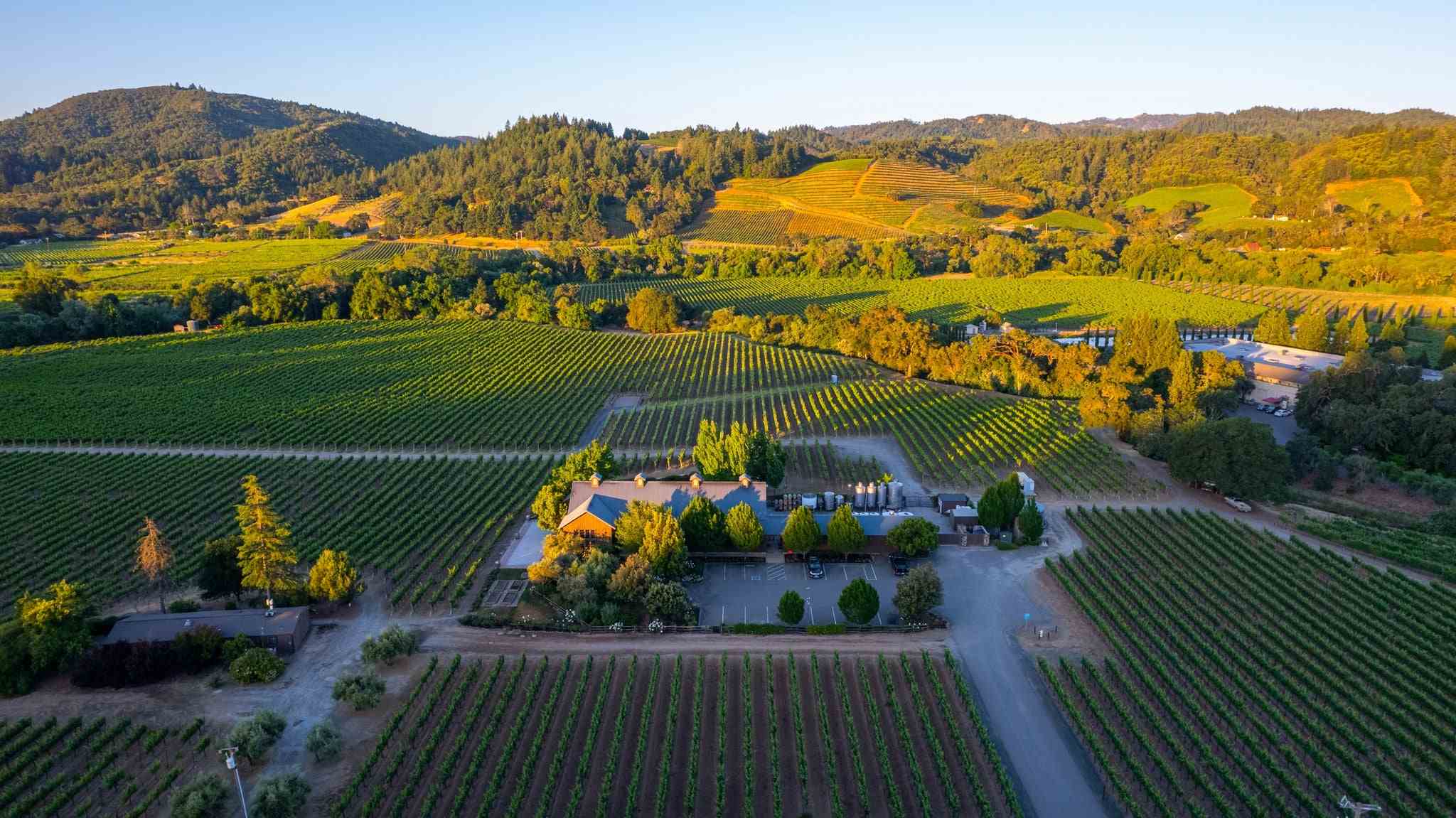 Dutcher Crossing Winery